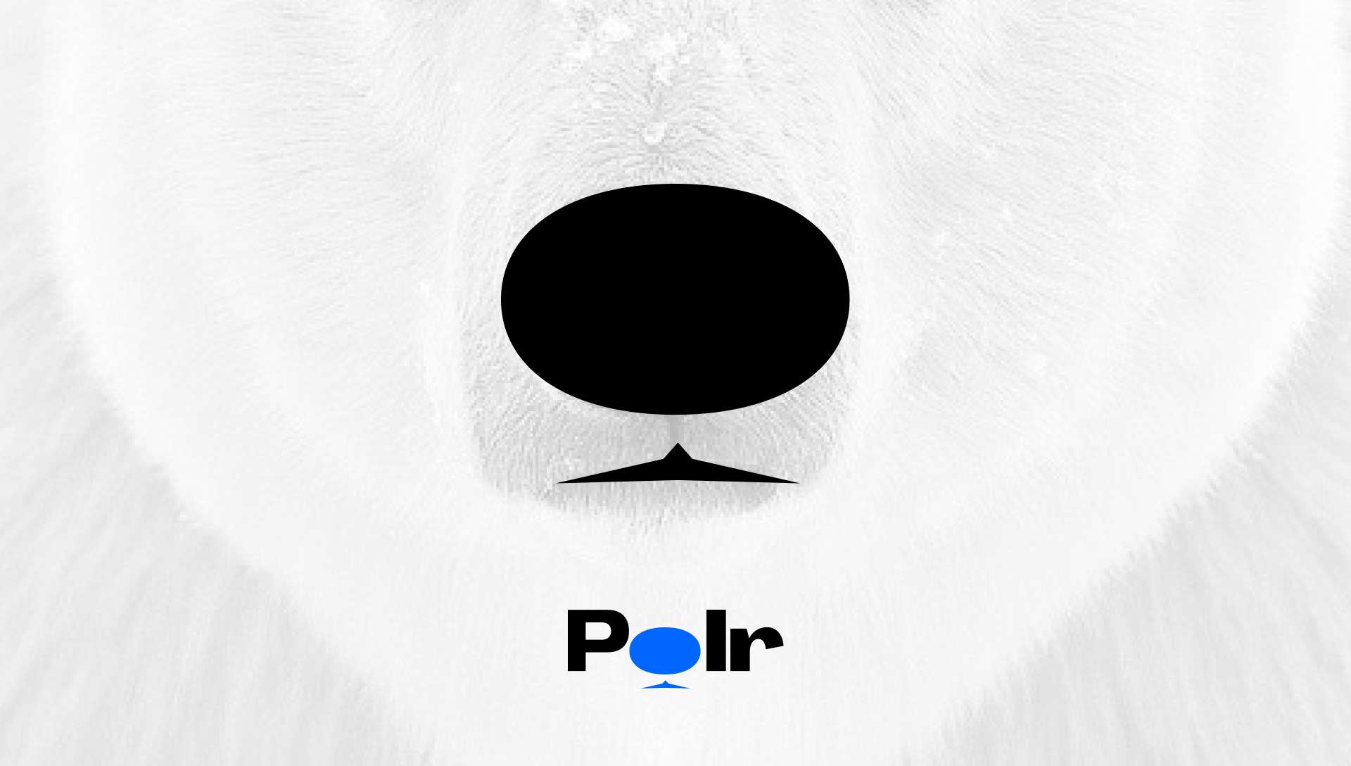Polr App